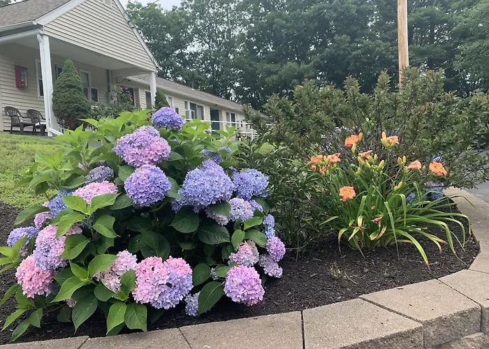 Motel: Northeaster Motel